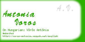 antonia voros business card