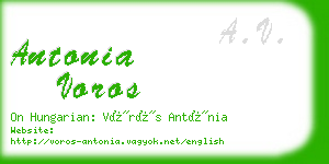 antonia voros business card